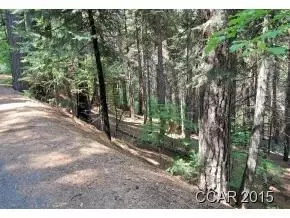 3178 Pine Lake Dr, Arnold, CA 95223 photo 6