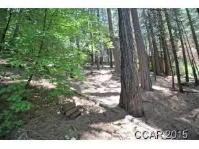 3178 Pine Lake Dr, Arnold, CA 95223 photo 8
