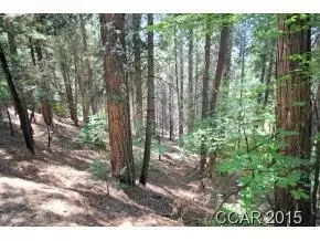 3178 Pine Lake Dr, Arnold, CA 95223 photo 10