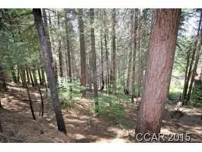 3178 Pine Lake Dr, Arnold, CA 95223 photo 9
