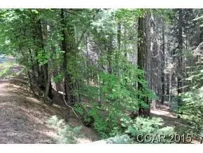 3178 Pine Lake Dr, Arnold, CA 95223 photo 2