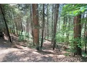 3178 Pine Lake Dr, Arnold, CA 95223 photo 3