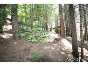 3178 Pine Lake Dr, Arnold, CA 95223 photo 4