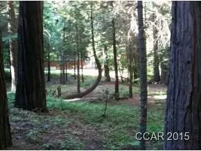 3250 Fairway Dr, Arnold, CA 95223 photo 5
