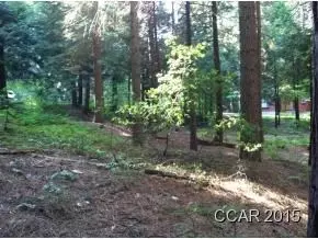 3250 Fairway Dr, Arnold, CA 95223 photo 7