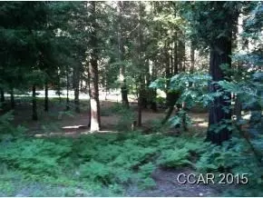3250 Fairway Dr, Arnold, CA 95223 photo 8
