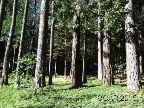 3250 Fairway Dr, Arnold, CA 95223 photo 2
