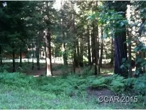3250 Fairway Dr, Arnold, CA 95223 photo 9