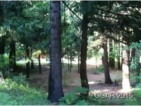 3250 Fairway Dr, Arnold, CA 95223 photo 10