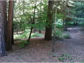 3250 Fairway Dr, Arnold, CA 95223 photo 4