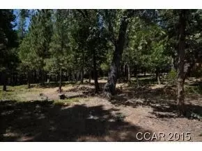 2107 Choctaw Dr, Dorrington, CA 95223 photo 5