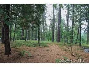 3039 Flume Ct, Arnold, CA 95223 photo 1