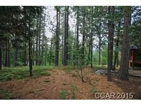 3039 Flume Ct, Arnold, CA 95223 photo 2