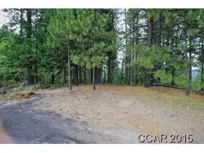 3039 Flume Ct, Arnold, CA 95223 photo 5