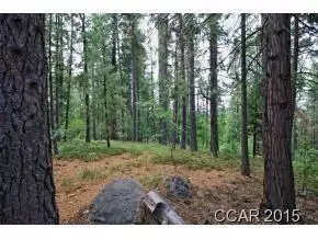 3039 Flume Ct, Arnold, CA 95223 photo 3