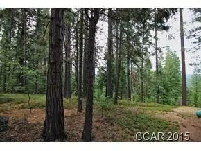 3039 Flume Ct, Arnold, CA 95223 photo 4
