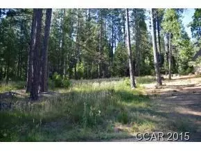 774 Moran Ct, Arnold, CA 95223 photo 1