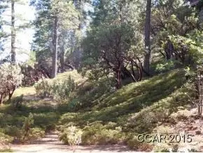3361 Diablo Vw, Arnold, CA 95223 photo 3