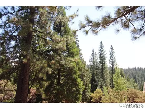 2898 Georgeann Ct, Arnold, CA 95223 photo 6
