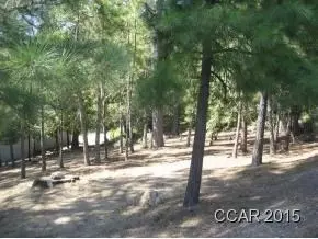 750 Sandalwood, Murphys, CA 95247 photo 4