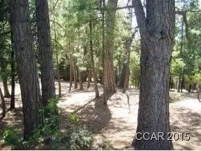 750 Sandalwood, Murphys, CA 95247 photo 1