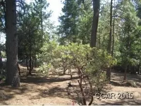 750 Sandalwood, Murphys, CA 95247 photo 3