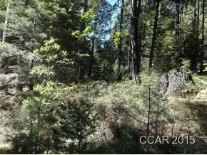 646 Dean Way, Arnold, CA 95223 photo 4