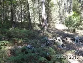 646 Dean Way, Arnold, CA 95223 photo 2