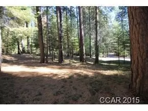 734 Marilyn Way, Arnold, CA 95223 photo 4