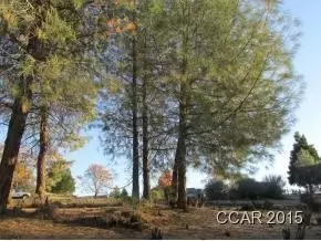 340 Forest Meadows Dr, Murphys, CA 95247 photo 1