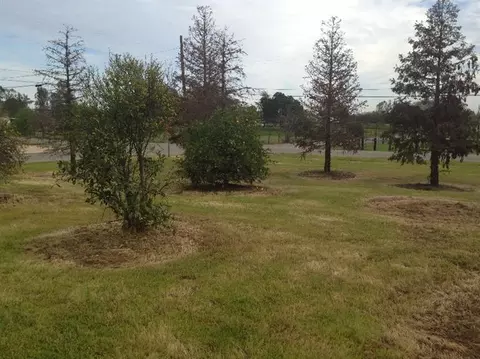17026 La Canada Rd, Madera, CA 93636 photo 2
