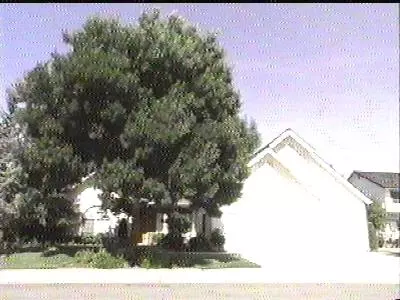 Undisclosed, Clovis, CA 93611 photo 1
