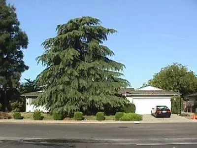 932 Ezie, Clovis, CA 93611 photo 1