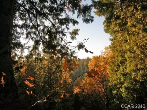 1796 Bear Clover Dr, Arnold, CA 95223 photo 6