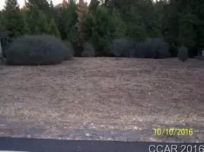 687 Forest Meadows Dr, Murphys, CA 95247 photo 1