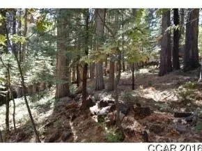 484 Dean Way, Arnold, CA 95223 photo 3