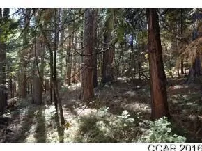 484 Dean Way, Arnold, CA 95223 photo 4