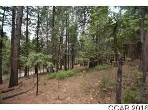 484 Dean Way, Arnold, CA 95223 photo 1