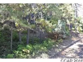 484 Dean Way, Arnold, CA 95223 photo 7
