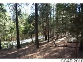 484 Dean Way, Arnold, CA 95223 photo 2