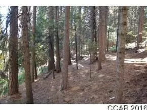484 Dean Way, Arnold, CA 95223 photo 5