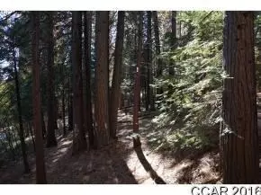 484 Dean Way, Arnold, CA 95223 photo 6
