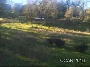 5636 Chuckwagon, Copperopolis, CA 95228 photo 8