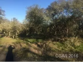 5636 Chuckwagon, Copperopolis, CA 95228 photo 4
