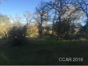 5636 Chuckwagon, Copperopolis, CA 95228 photo 6