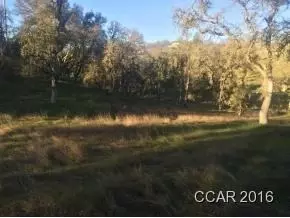 5636 Chuckwagon, Copperopolis, CA 95228 photo 10
