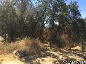 20273 Cripple Hill Rd, Sonora, CA 95370 photo 4