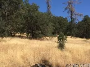 20273 Cripple Hill Rd, Sonora, CA 95370 photo 3