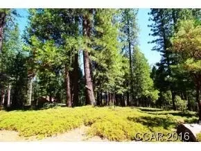 2412 Grenoble Dr, Arnold, CA 95223 photo 1