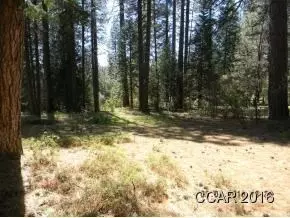 157 Avery Sheep Ranch Rd, Avery, CA 95224 photo 1
